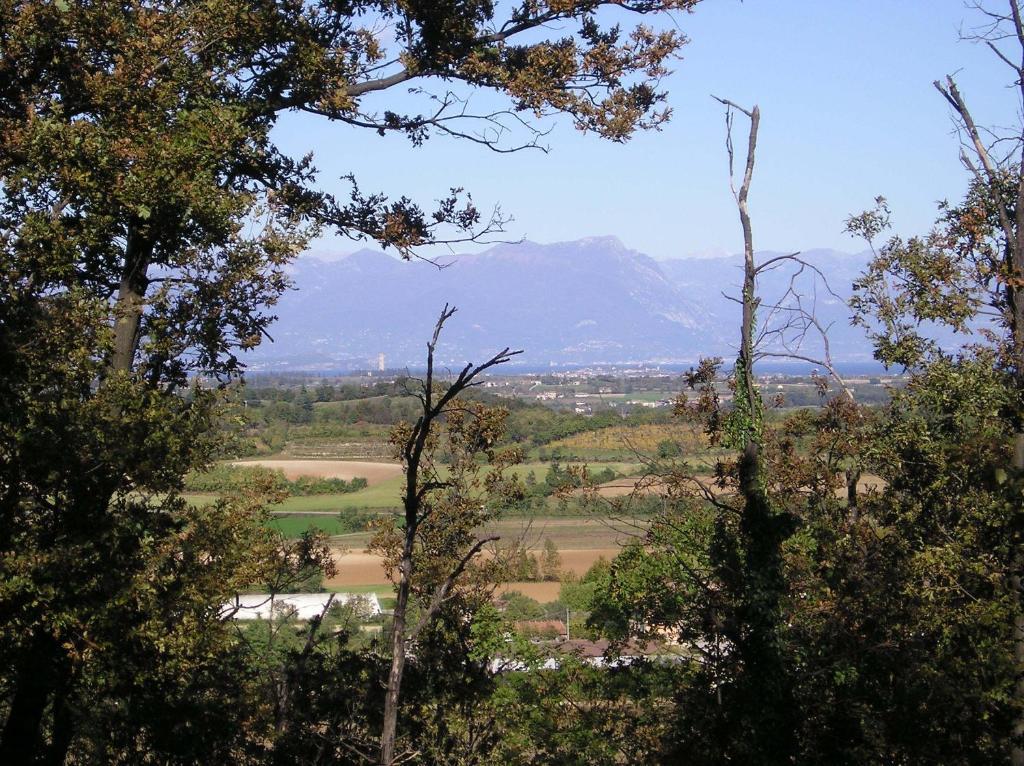 Agriturismo Dondino Cavriana Ngoại thất bức ảnh