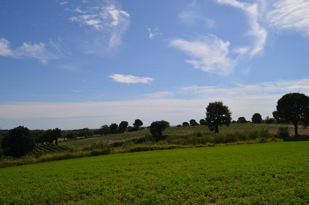 Agriturismo Dondino Cavriana Ngoại thất bức ảnh