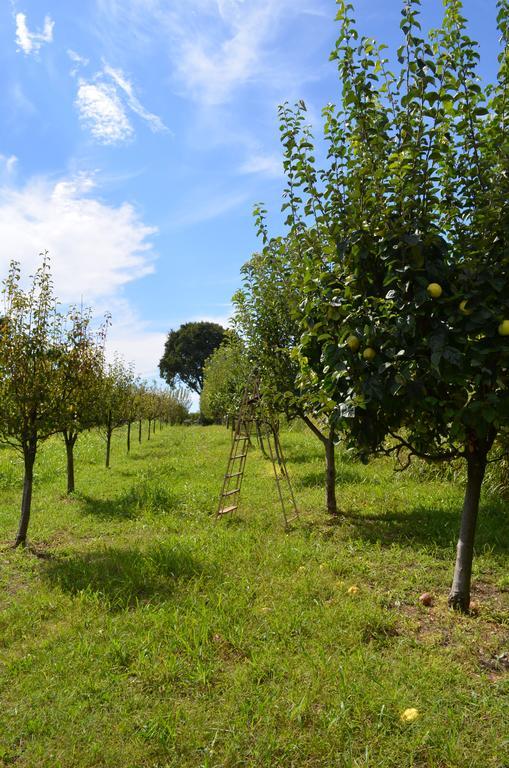 Agriturismo Dondino Cavriana Ngoại thất bức ảnh